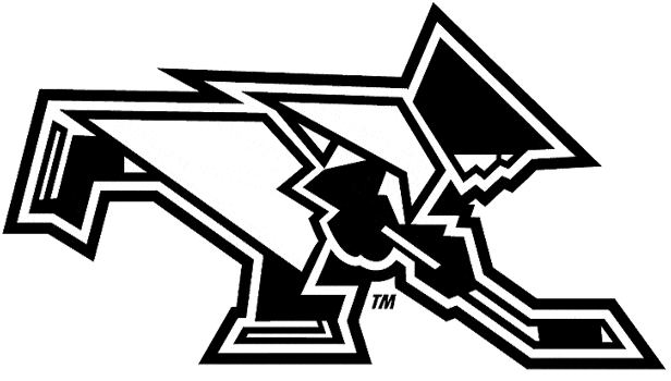 Providence Friars 2000-Pres Misc Logo iron on transfers for clothing